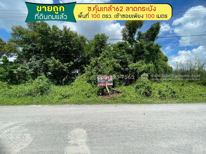 ขายที่ดิน ซอยคุ้มเกล้า62 ย่านลาดกระบัง พื้นที่ 100 ตารางวา เพียง 100 เมตร จากถนนใหญ่ ถมแล้ว 1