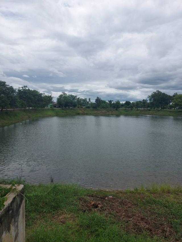 ขายที่ดินติดฝายน้ำใหญ่ 1