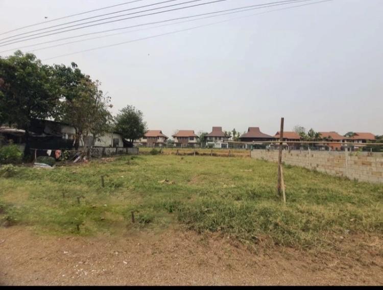 ขายที่ดินเปล่า 107 ตร.ว. 1.6 ล้านบาท พิกัด หนองควาย หางดง เชียงใหม่ 5