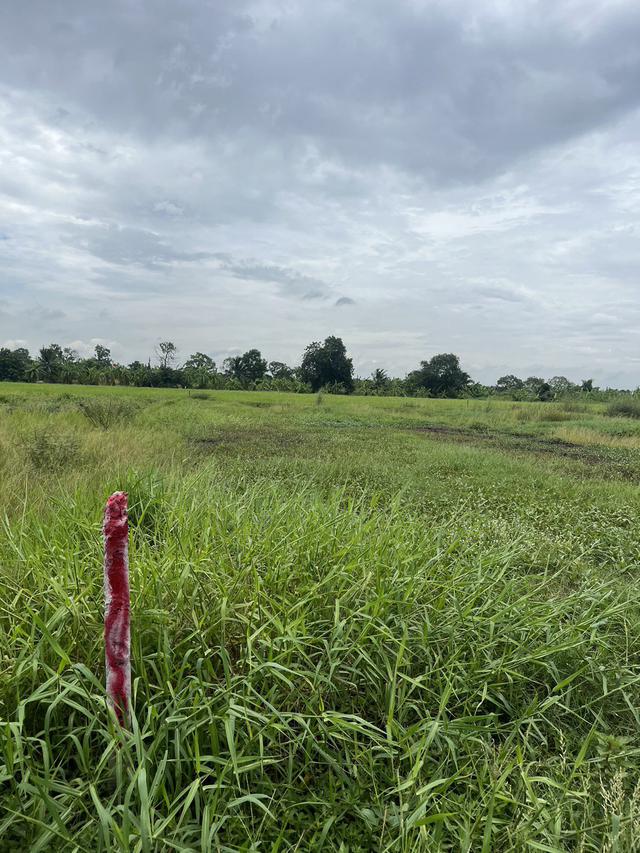 ที่ดิน หนองเสือ ซอยอุทัยศรี คลอง 11 จังหวัดปทุมธานี 4