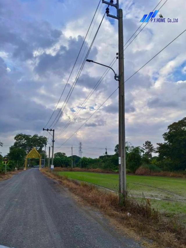 ขายที่ดิน 2-0-88 คลองสิบสอง หนองจอก 11