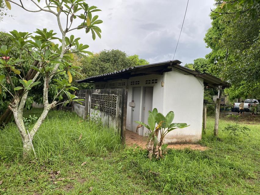 ขายที่ดินพร้อมบ้าน เนื้อที่ 365 ตารางวา อ.เกาะจันทร์ จ.ชลบุรี 4