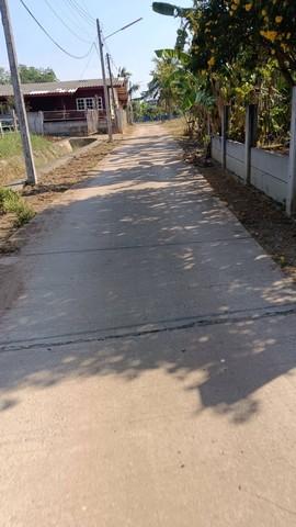 ขายที่ดินพนัสนิคมชลบุรีราคาถูก เนื้อที่ 1 ไร่ 8 ตร.วา ปลูกบ้านพักอาศัย บ้านสวน บรรยากาศร่มรื่น อยู่ในแหล่งชุมชน เดินทางส 7