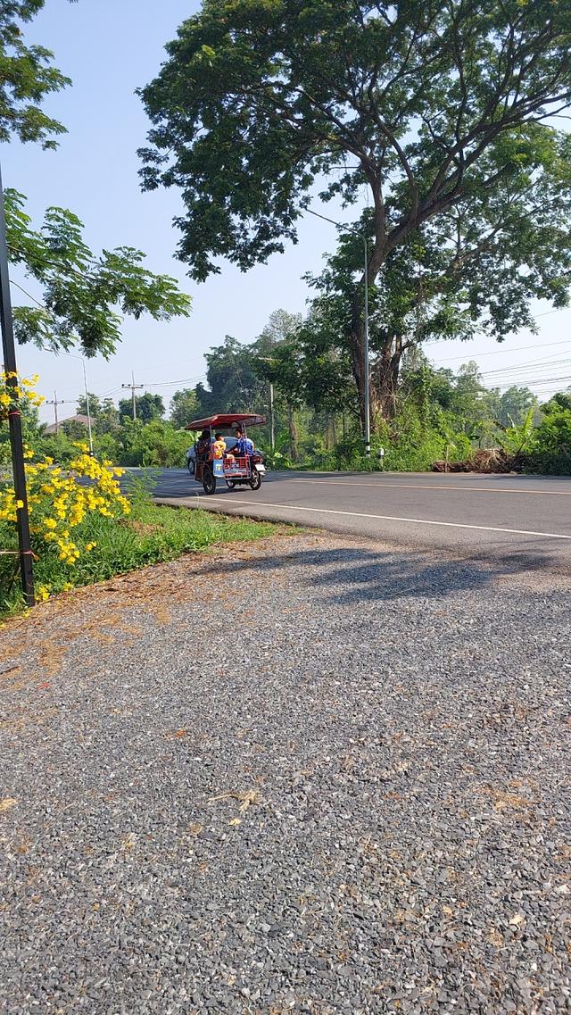 บ้านสวนพร้อมที่ดิน181ตรว. 2