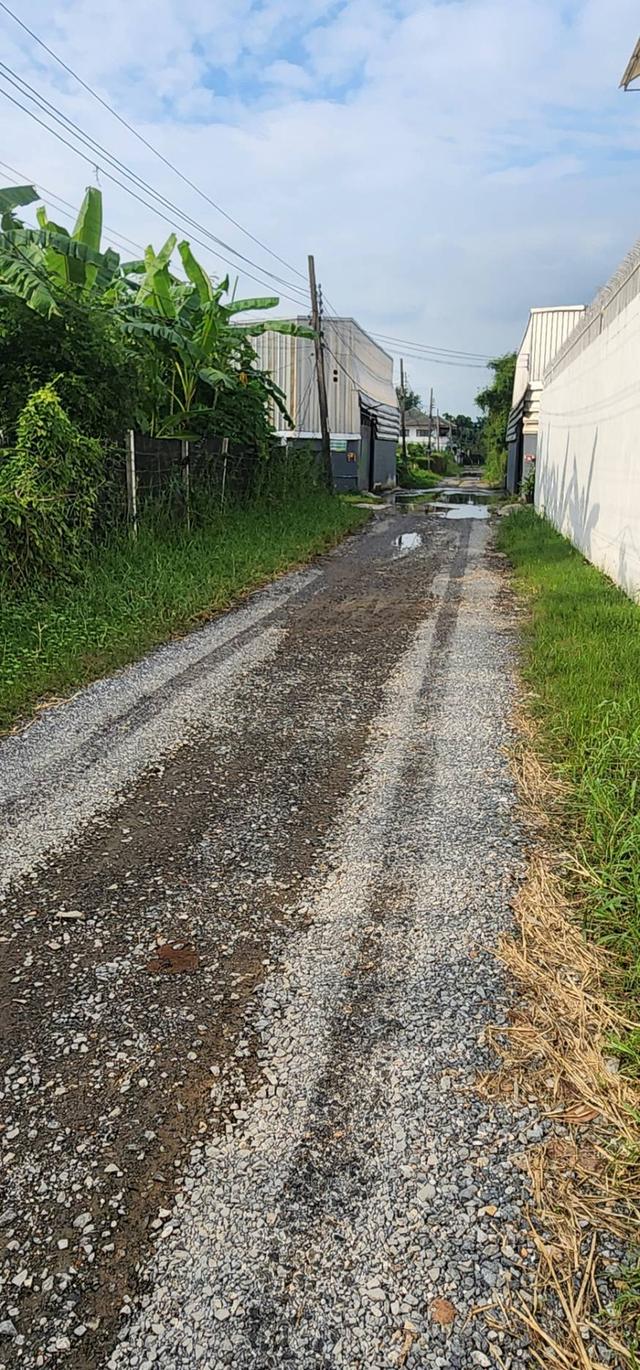 ที่ดิน 10