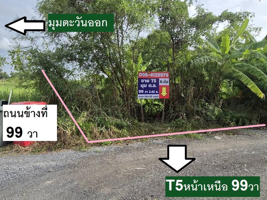ขายที่ดินจัดสรรพหล-สายไหมอีกแปลง 99 ตารางวาอีกแปลงข้างอีกฝั่งซอยที่แปลงขาย แปลงมุม89 วาที่น้องดูแลอยู่อีกฝั่งถนน พหลโยธิน 54/1 แยก 8-4-3 ซอยตาลเดี่ยว 4