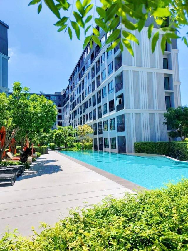 ดีคอนโด แคมปัส ไฮด์อเวย์ ชั้น 6 อาคาร C ถนนคลองหลวง (เชียงราก) ต. คลองหนึ่ง อ. คลองหลวง จ. ปทุมธานี 1