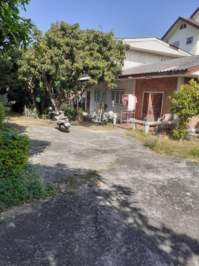 ที่ดินกลางเมืองจังหวัดเชียงใหม่ 2