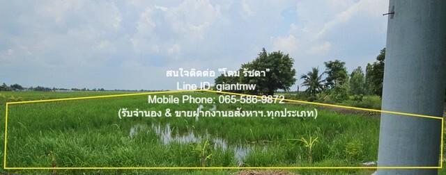 รหัส: DSL-637 ที่ดิน ขายที่ดินทุ่งนาติดถนน ต.คลองเปร็ง อ.เมืองฉะเชิงเทรา 13-0-24.9 ไร่ 6.25 ล้านบาท 25 ตาราง-วา 0 งาน 13 6