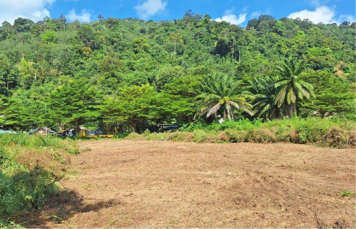 ขายที่ดิน ใกล้ สนามกอล์ฟ ล้อคปาล์ม กะทู้ ภูเก็ต 5 ไร่ กว่า ติดถนน 6