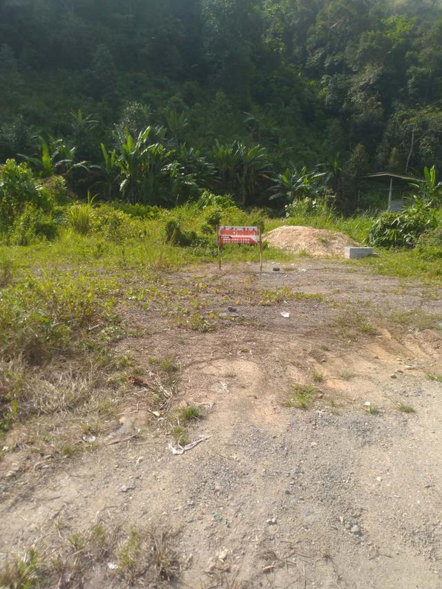 ปล่อยเช่าที่ดิน รายเดือน ราคาถูก 2 ประตู กว้าง 10 เมตน ยาว 25 เมตร  ปล่อยเช่าที่ดินเปล่า  📍 ทำตลาด ค้าขาย ที่จอดรถ  พิกัด ถนนเข้าศรีสาคร พงจืองา  ม.1 2