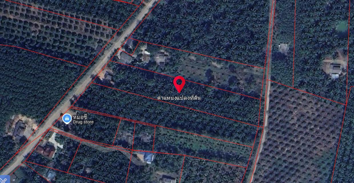 ขายที่ดิน 5ไร่ 3งาน จ.ชุมพร 3