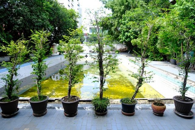 ขายที่ดิน 382 ตารางวา สุขุมวิท 27, สุขุมวิท 29 ใกล้อโศก ใจกลางเมือง ราคาถูก 8