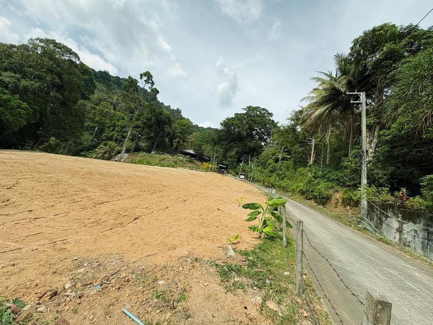 ขายที่ดินซีวิวหาดป่าตอง รูปย่อยที่ 4