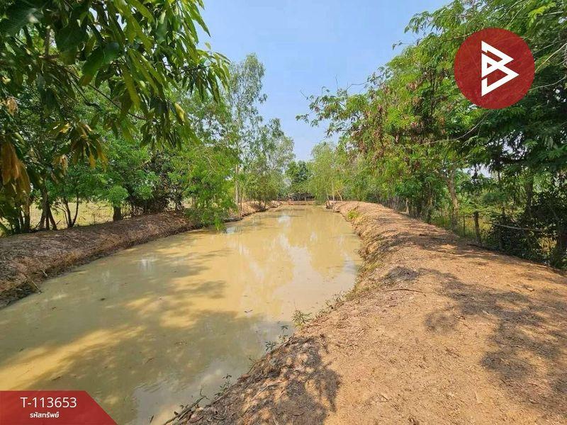 ขายที่ดินพร้อมสิ่งปลูกสร้าง ติดถนนใหญ่ เนื้อที่ 12 ไร่ 2 งาน 79.0 ตารางวา ถนนทางหลวงชนบท ตำบลหมากแข้ง เมืองอุดรธานี 13