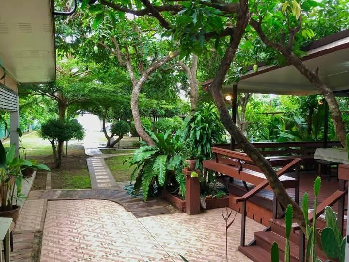 ขายที่ดินพร้อมบ้านสวน ใกล้กาดฝรั่ง ขนาด 290 ตร.ว. บ้านน้ำต้น ซอย 5 แม่ริม เชียงใหม่ 11