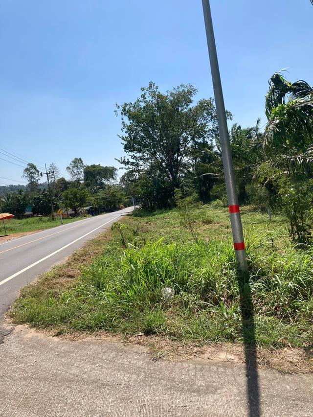 ขายที่ดินห้างสูง 18 ไร่ ติดถนน2ด้านซอบอบต.ห้างสูงเส้น4082 ใกล้นิคมเอเชียคลีน-6กม. อ.หนองใหญ่ ชลบุรี