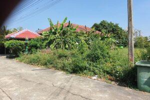 ขายที่ดินแปลงสวย 210 ตร.ว. หน้ากว้าง ทำเลสงบ เหมาะสร้างบ้านในฝัน 9