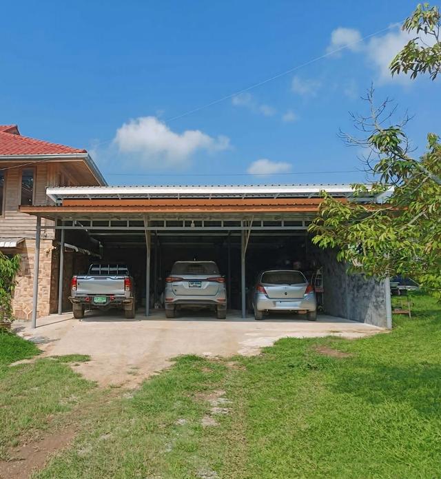 🔥 หลุดจอง! ที่ดิน 6 ไร่ + บ้าน + สวนทุเรียนให้ผลแล้ว (จ.เพชรบูรณ์) 6