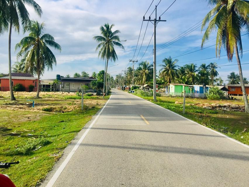 ประกาศขายที่ดินติดทะเลบ้านทอน  5