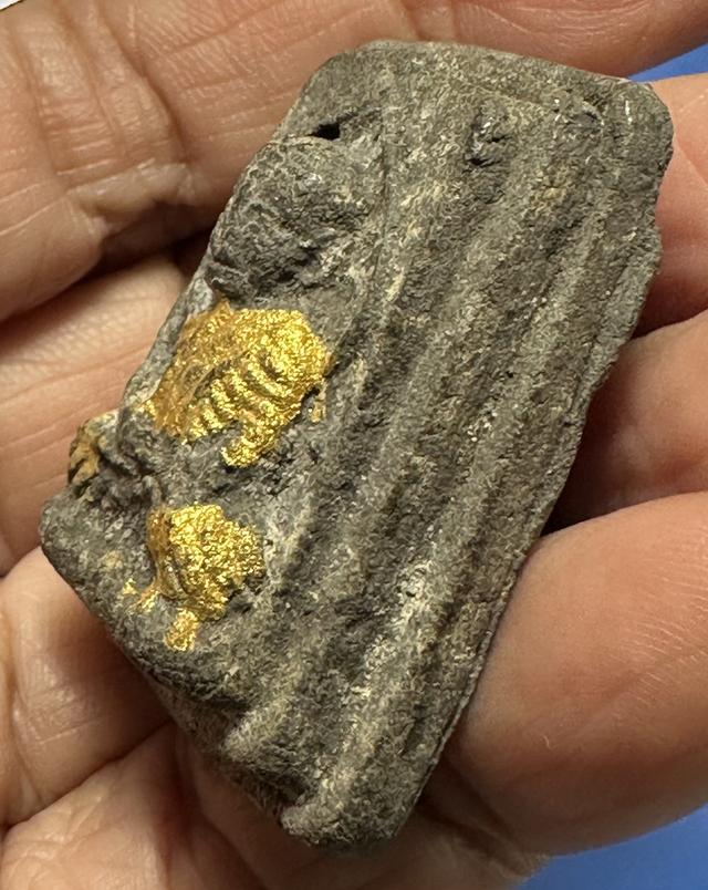 ล.ป.ทวด เนื้อผง ไม่ทราบที่ 4