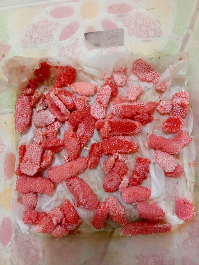 ไข่อหอยเชอรี่สีทองมงคล รูปที่ 6
