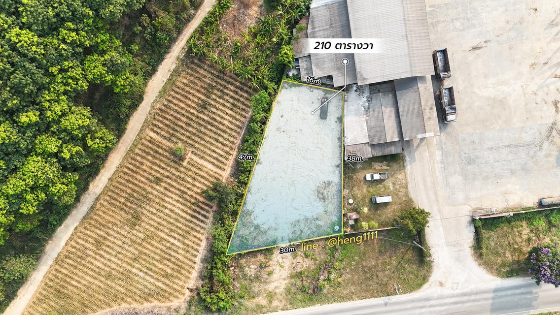 ขายด่วน ที่ดินติดทางหลวง 1098 ท่าข้าวเปลือก แม่จัน เชียงราย 210 ตร.ว. รูปทรงถุงเงินถุงทอง 5