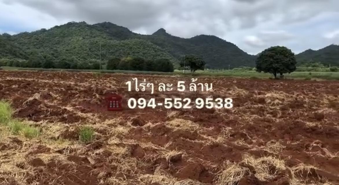 ขายที่ดินปากช่อง เขาใหญ่ 1ไร่ มาพร้อมวิวเขา 360 องศา ติดถนนลาดยาง โฉนด