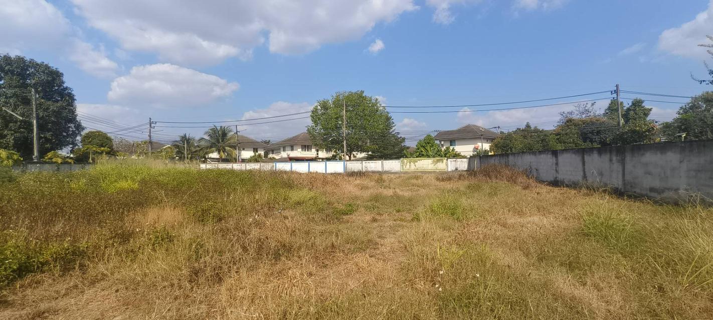 ที่ดินแปลงสวย ติดถนนเส้นหลักบ้านกลาง – ท่าวังตาล สารภี 8