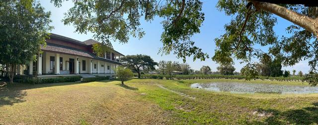 ขายบ้านและพร้อมที่ดิน 19