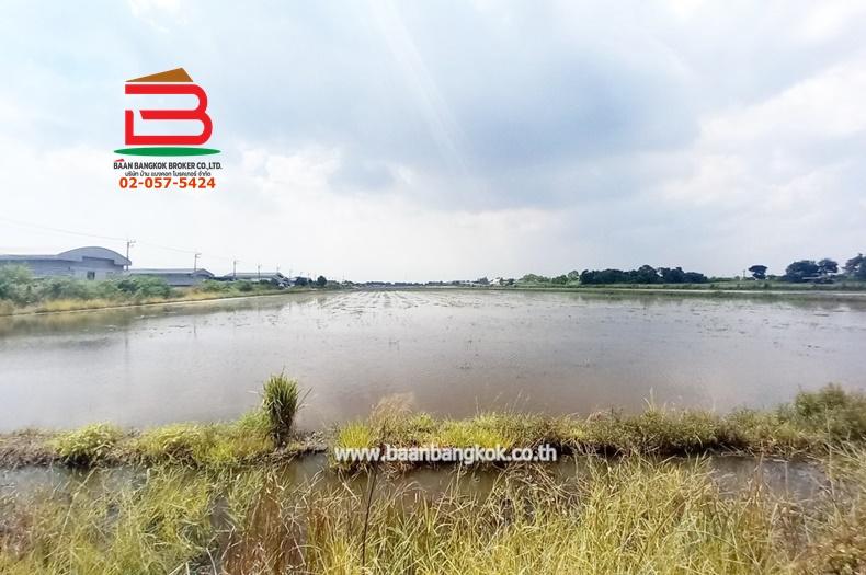 ที่ดินเปล่า ถนนเลียบตะวันออกคลอง 7, เทศบาลลำลูกกา ซอย 3 เนื้อที่ 84-1-19 ไร่ ตำบลลำลูกกา อำเภอลำลูกกา จังหวัดปทุมธานี 6