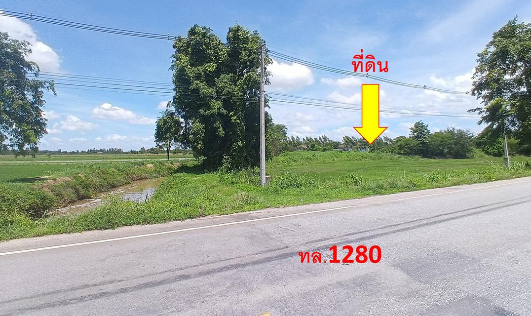 📍 ขายที่ดินติดถนน ทล.1280 อ.บึงสามัคคี จ.กำแพงเพชร 1