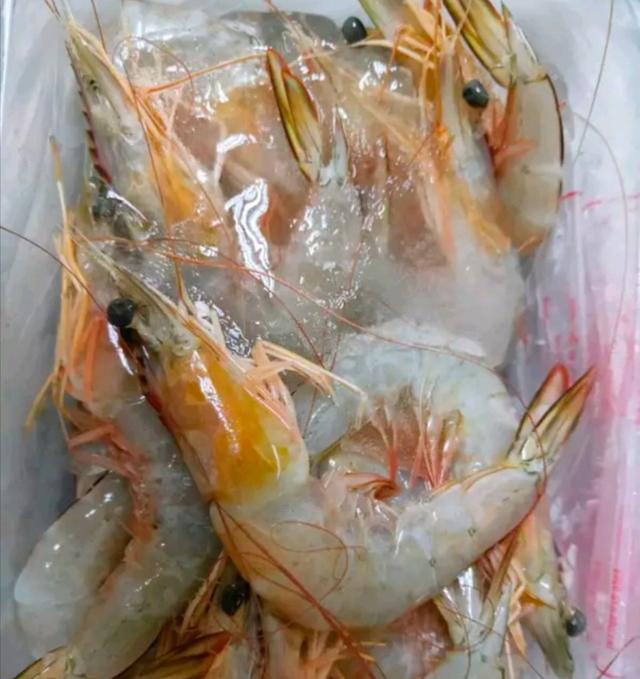 กุ้งแช่บ๊วยสดๆ 2