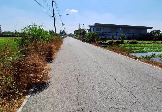 ขายที่ดิน ตำบลคลองโยง อำเภอพุทธมณฑล นครปฐม ถนนบางเลน ใกล้ ม.ราชภัฏสวนสุนันทา 6