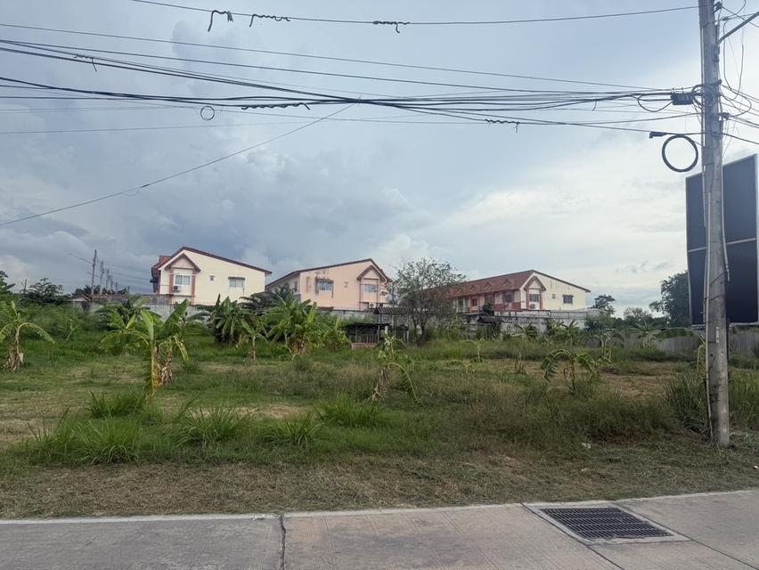 ขายที่ดิน ชลบุรี 7