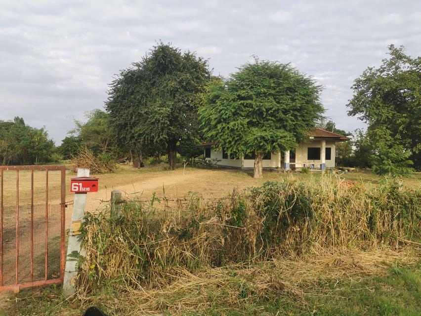 ที่ดิน​ 6​ ไร่​ 1​ งาน​ 31​ ตารางวา​ 8