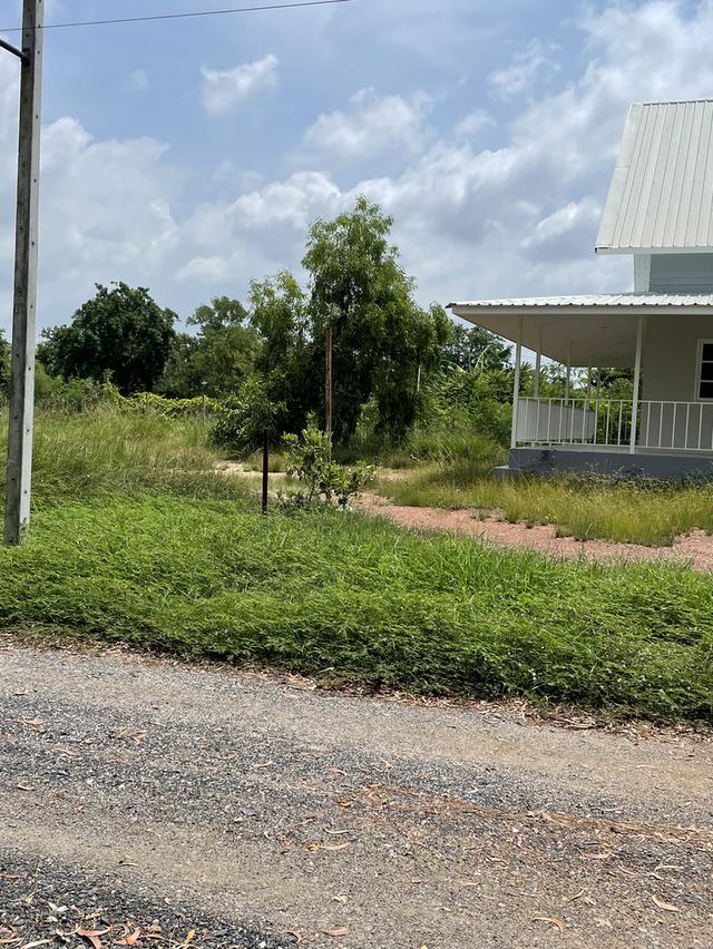 ขายที่ดิน ถมแล้วพร้อมสร้างบ้านได้เลย 3