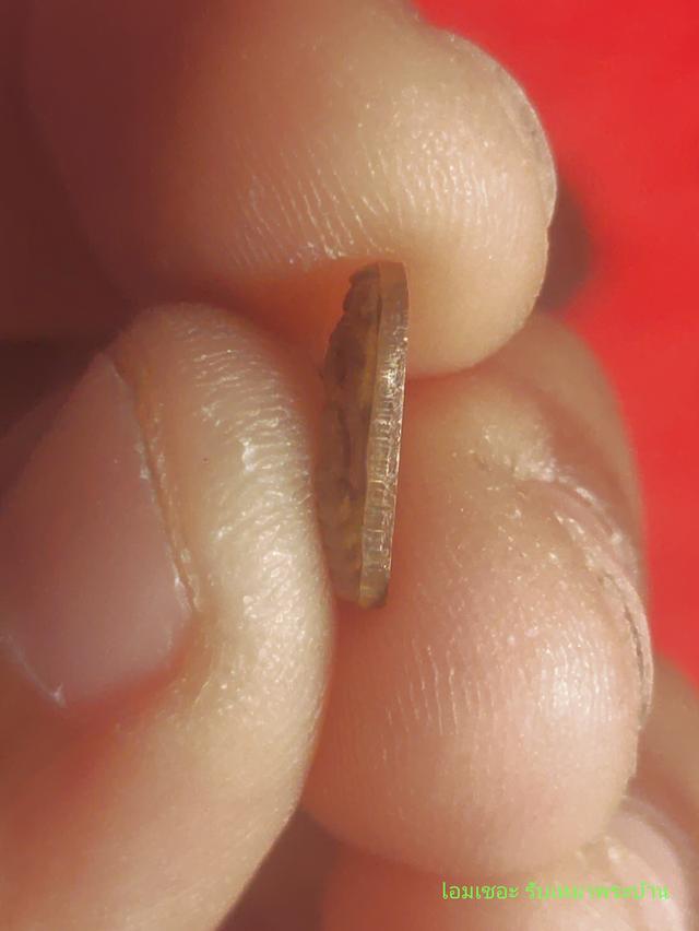 ปรกมะขาม 3