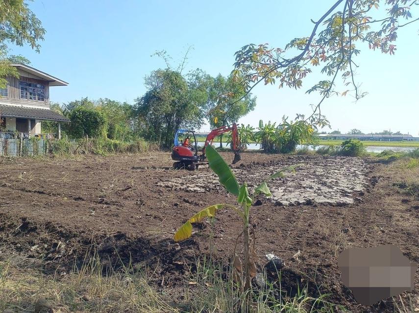 ที่ดิน200ตรว.ถ.ประชาสำราญ หนองจอก กทม 1