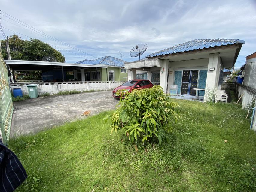 บ้านเดี่ยวชั้นเดียว 60ตรว ในตัวเมืองชลบุรี 1