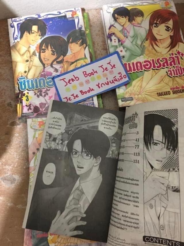 หนังสือการ์ตูน ซินเดอเรลล่าจำเป็น 1-9 จบ 4