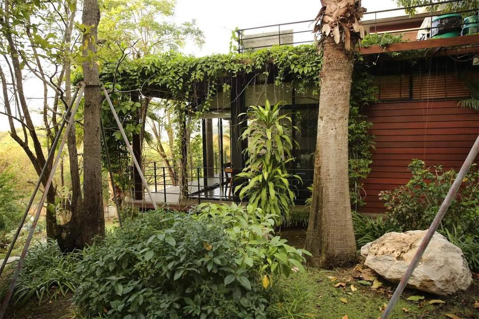 ขายบ้านบนเนินเขา ติดน้ำ บ้านพักตากอากาศเขาใหญ่ บ้านเขาใหญ่บนเนิน วิวเขาสวยมาก เนื้อที่ 1 ไร่ 2 งาน ติดเส้น 3052 โป่งตาลอง ใกล้ทอสคาน่า วเขาล้อมรอบ 9