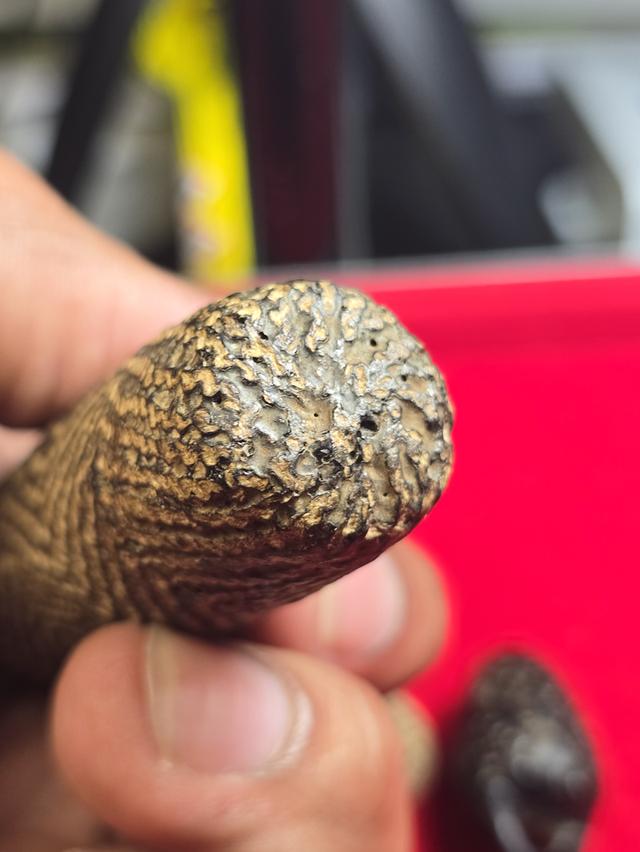 ตะกรุดไม้ครู หลวงปู่ภู วัดอินทรงิหาร 1ใน9เครื่องรางมหามงคล รูปที่ 6