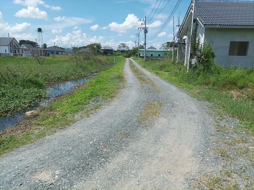 ขายที่ดิน 60 ตร.ว. ต.ตลาดขวัญ อ.ดอยสะเก็ด จ.เชียงใหม่ 4