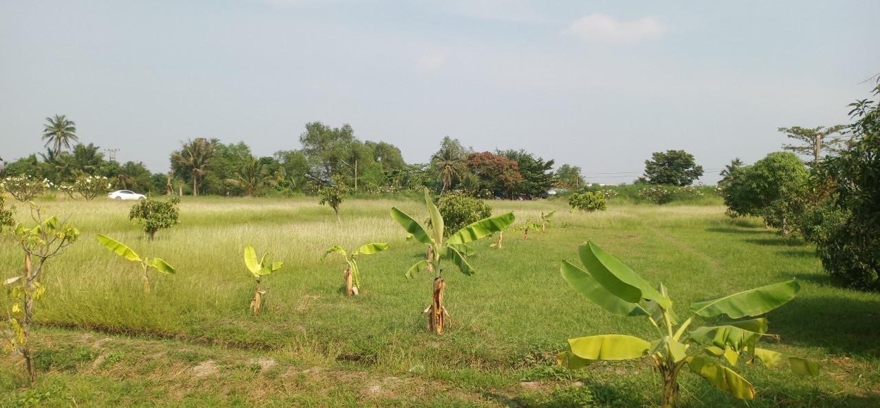 ขายที่ดินเปล่าถมแล้ว ติดถนนพระราม 2 ใกล้ทางด่วนกาญจนาภิเษก-วงแหวนอุตสาหกรรม 13