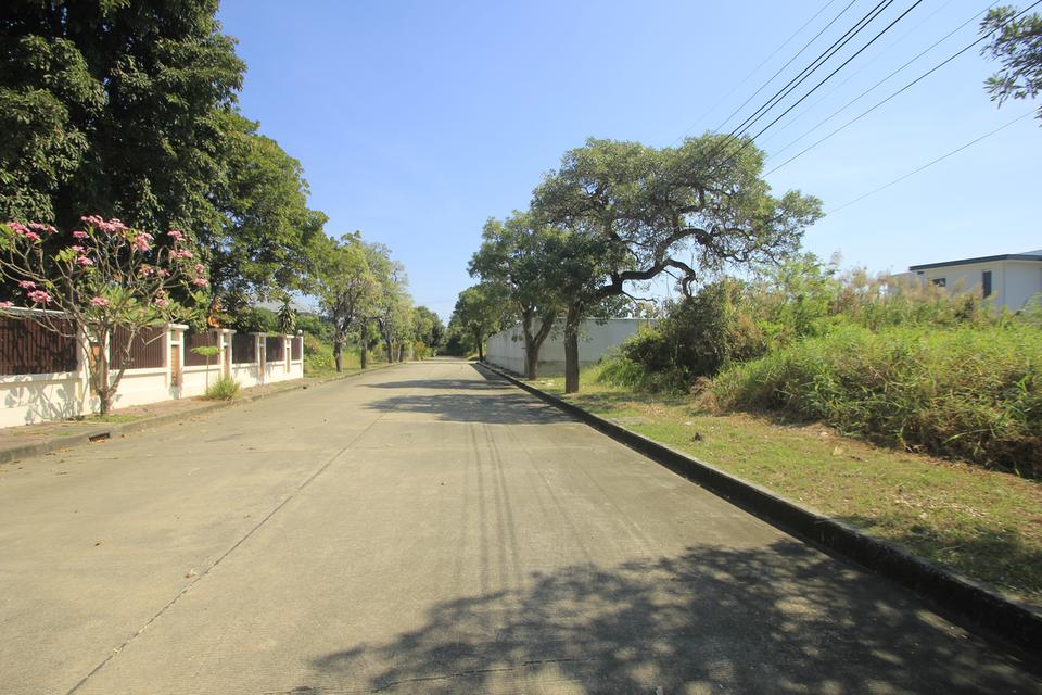 ที่ดินถนนบรมราชชนนีปิ่นเกล้านครชัยศรี ที่ดินสร้างบ้าน396.8ตารางวา หมู่บ้านวริยาวิลล์ หมู่บ้านติดถนนใหญ่ ซอยแรกของโครงการ ใกล้มหิดลศาลายา 19