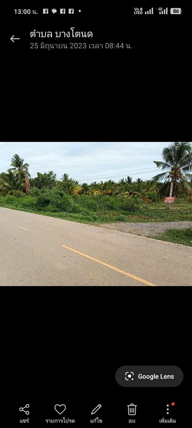 ที่ดิน 3