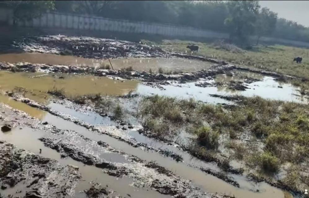 ขาย ที่ดิน ถนนอย2045 อุทัย อยุธยา 13 ไร่ 1 งาน 48 ตรว สีม่วง ใกล้นิคมโรจนะ อยุธยา 4