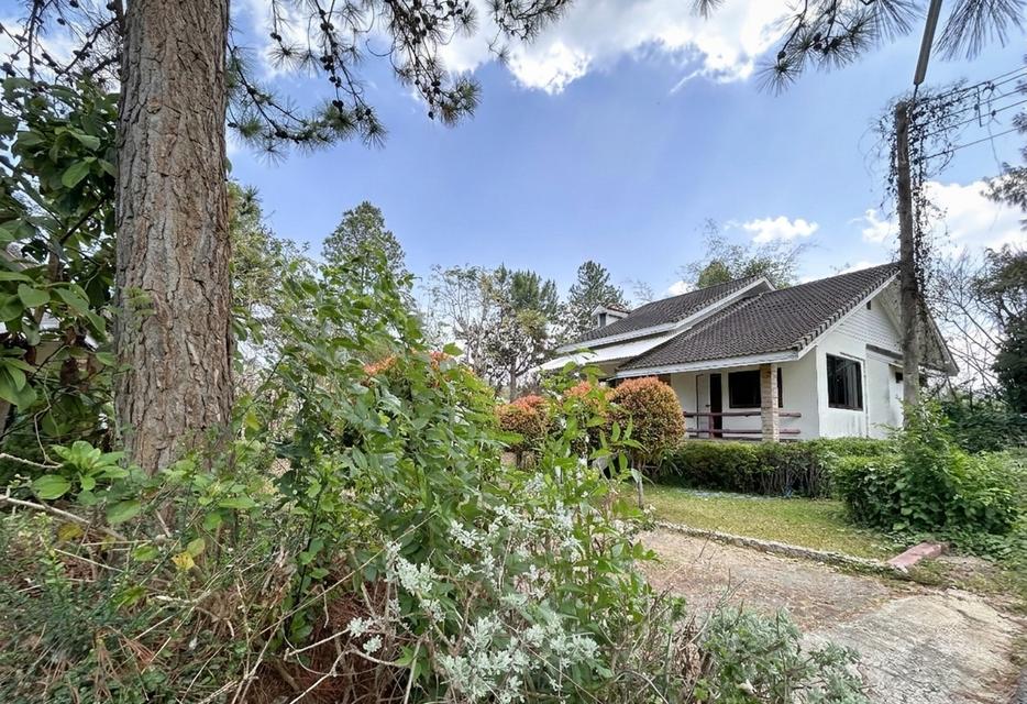 บ้านชั้นเดียว ในโครงการเขาค้อไฮแลนด์ 1