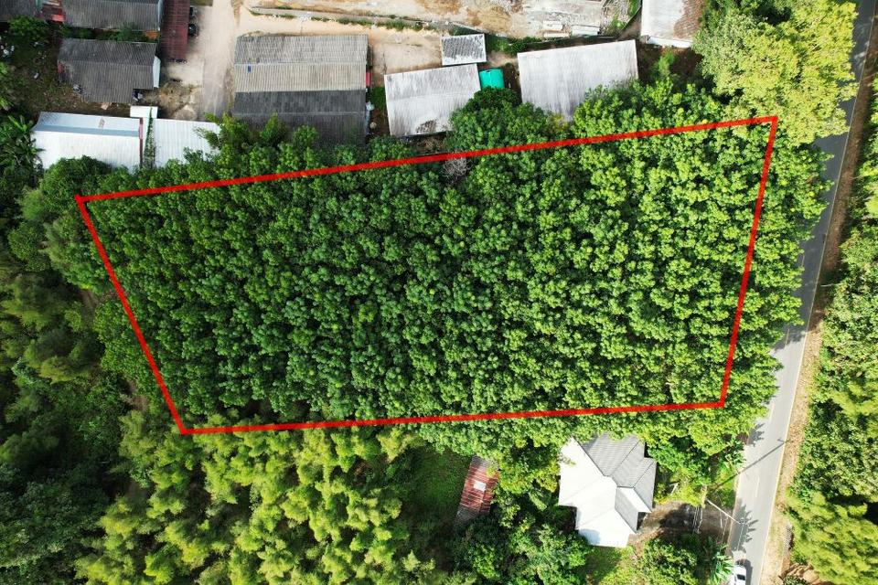 ขายที่ดินสวนยาง 2.40 ไร่ พร้อมโฉนด เหมาะแก่การลงทุน หลังวิทยาลัยการอาชีพปัว ต.ปัว จ.น่าน  16